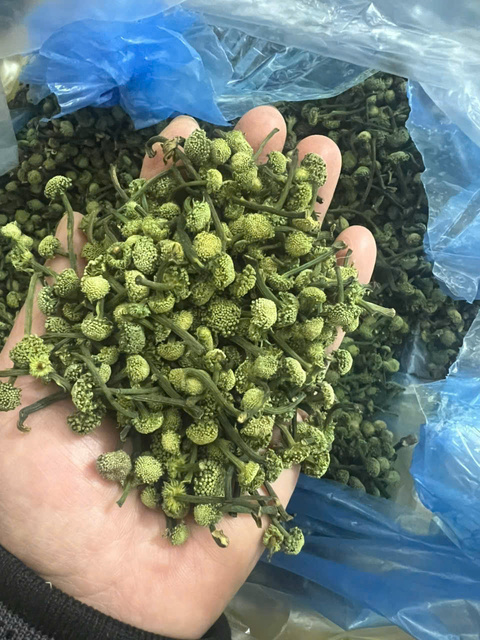 Nụ Hoa Tam Thất khô