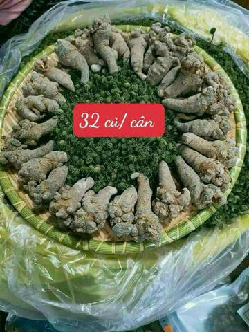 Tam Thất Bắc Khô Hà Giang