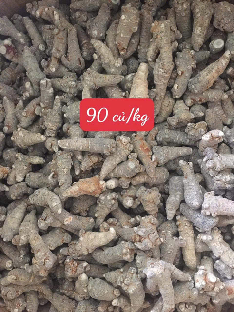 Tam Thất Bắc Khô Hà Giang