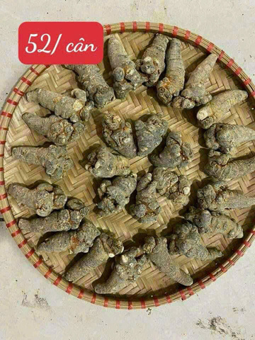 Tam Thất Bắc Khô Hà Giang