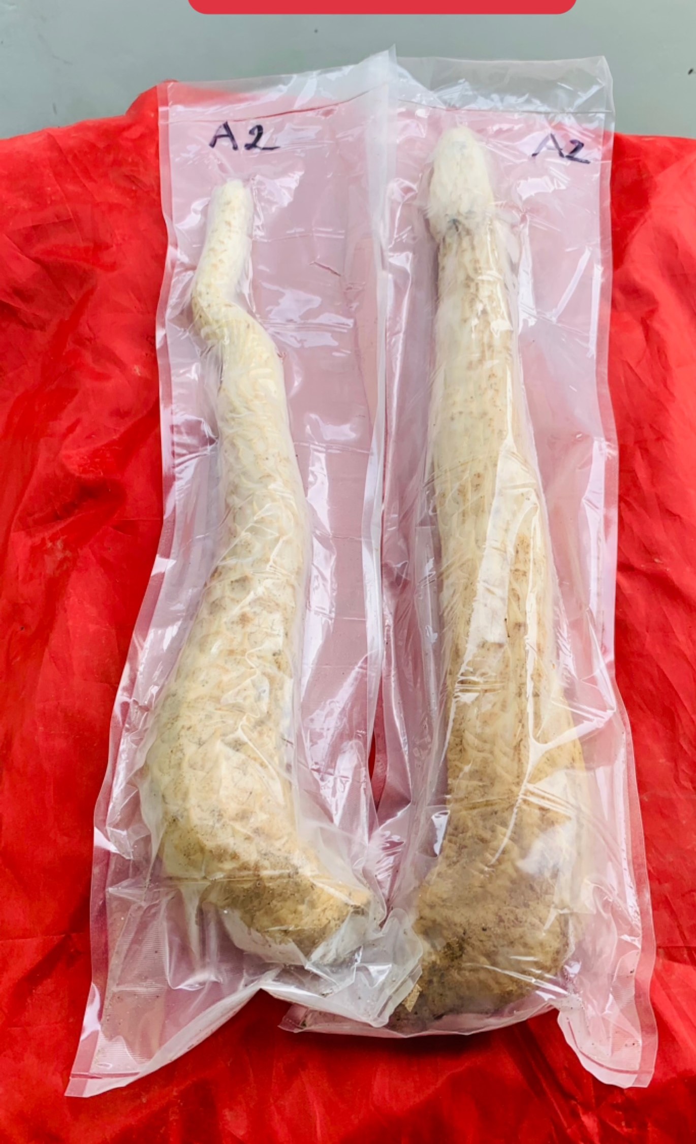 Nhục Thung Dung tươi