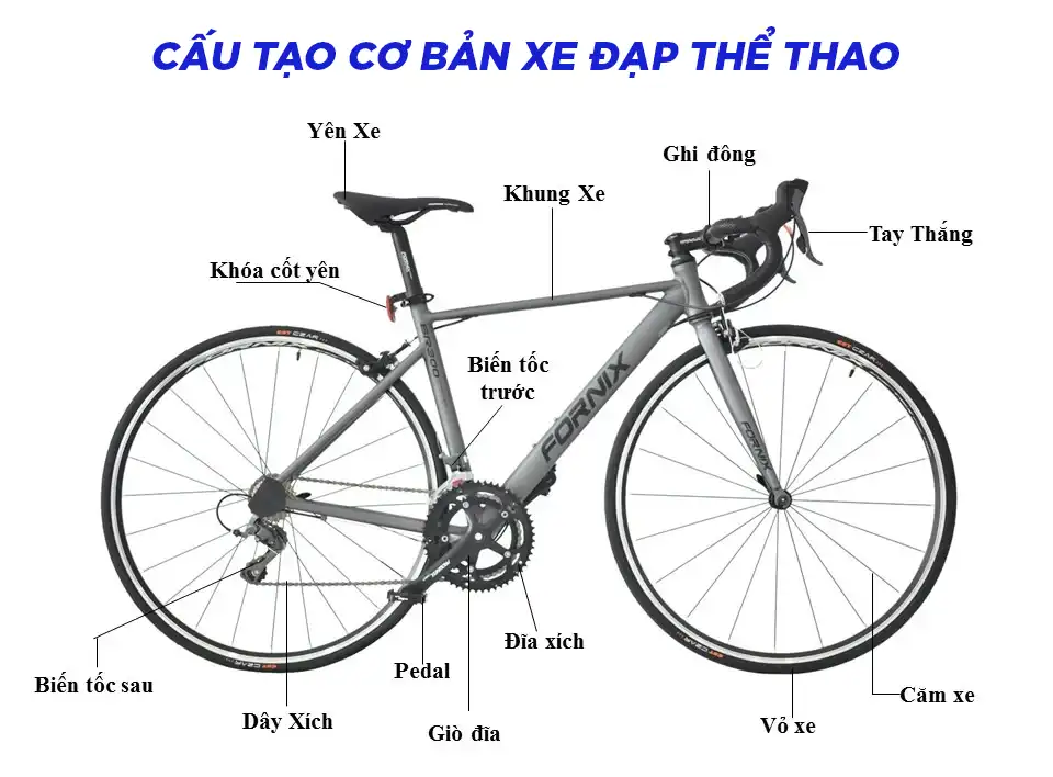 cấu tạo cơ bản của xe đạp thể thao - xedap5s.vn