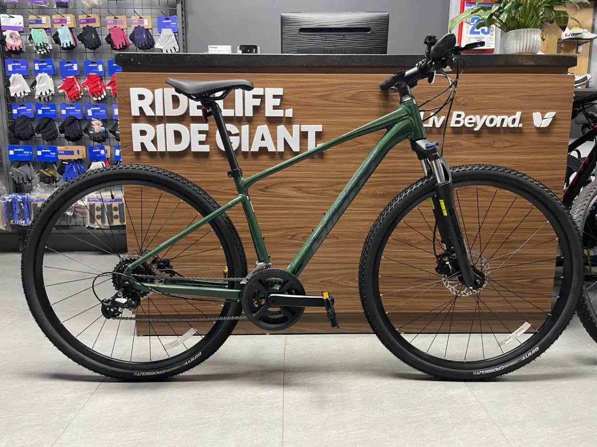 Xe đạp Giant Roam 3 D 2024 rêu