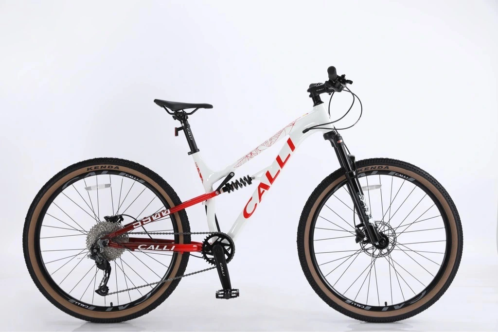 Xe đạp thể thao địa hình Calli 5900