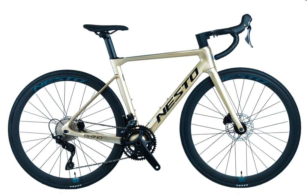 Xe đạp đua carbon Nesto Rhino