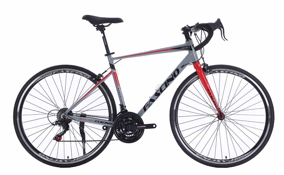 Xe đạp đua Road bike Fascino 848