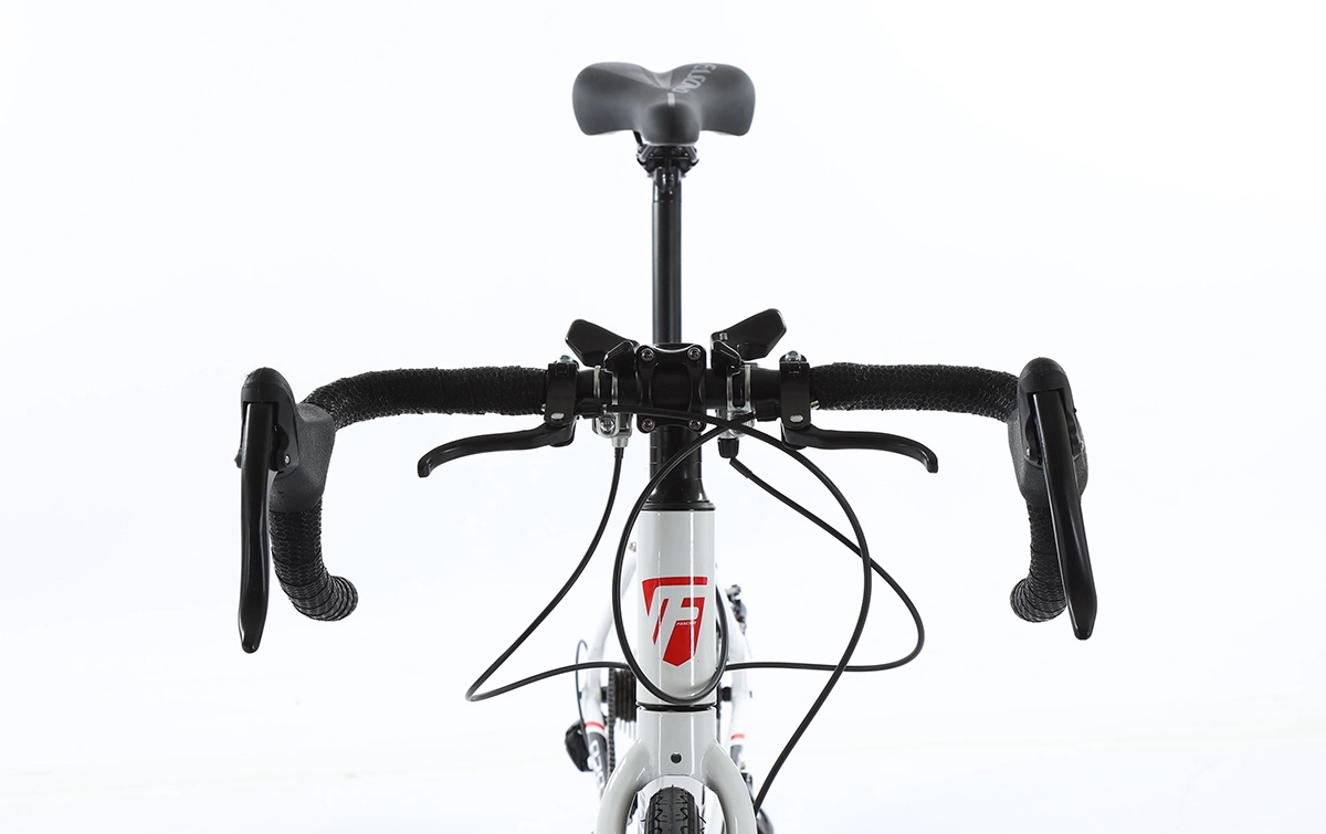 Xe đạp đua Road bike Fascino 828