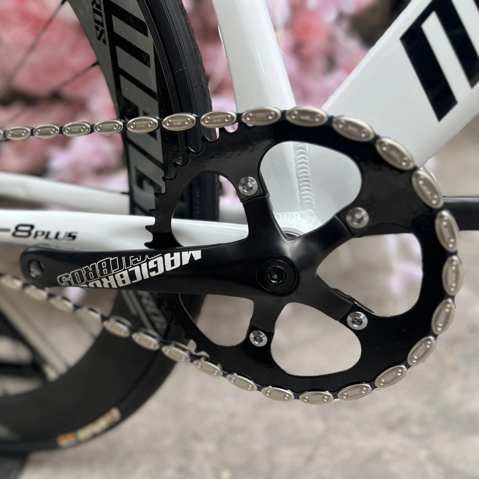 Xe Đạp Fixed Gear Magicbros CX8 Plus