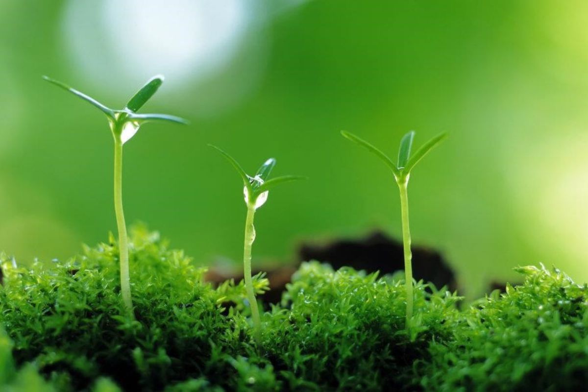 Câu chuyện thương hiệu