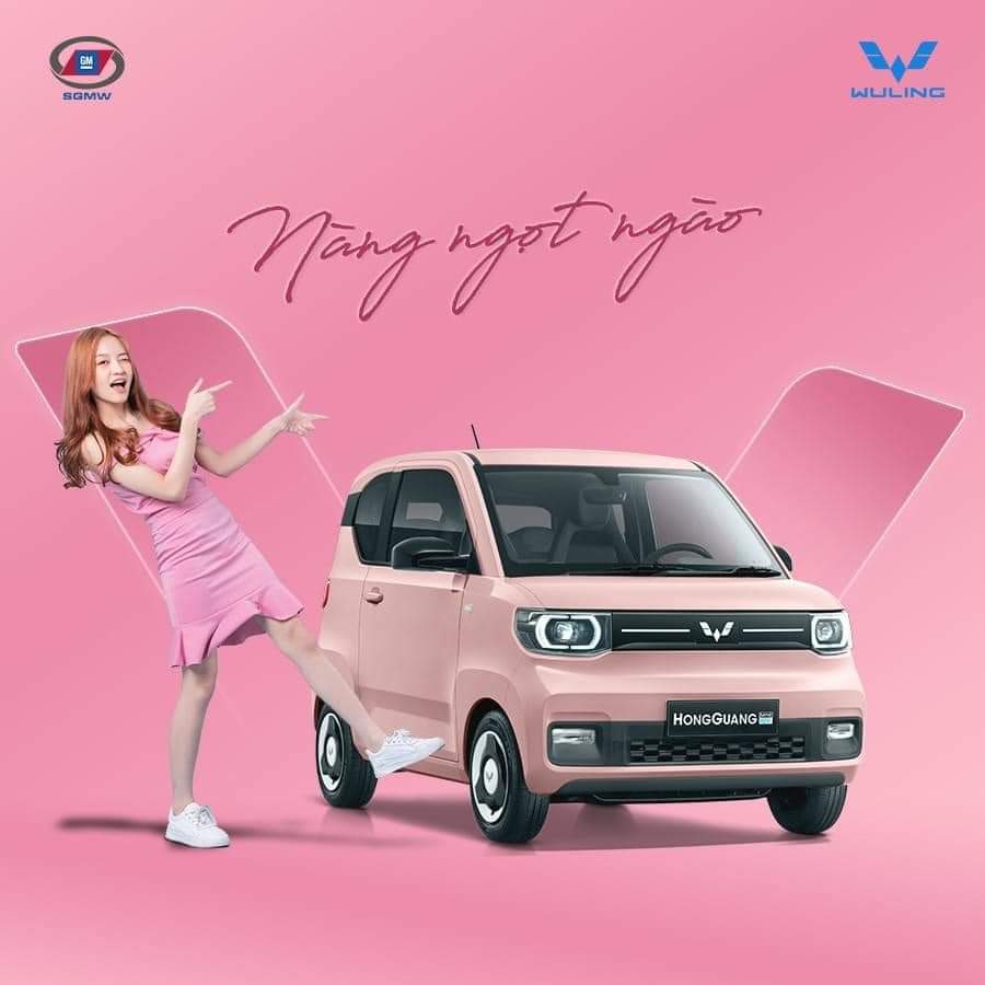 Xe điện Wuling Mini EV – LV2 ( màu Hồng đào- nóc đen)