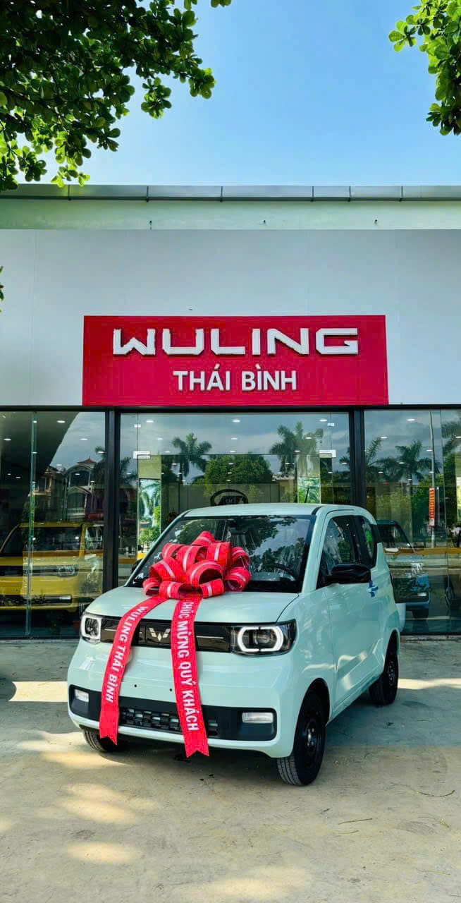 Xe điện Wuling Mini EV – LV2 ( màu xanh bơ- nóc đen)