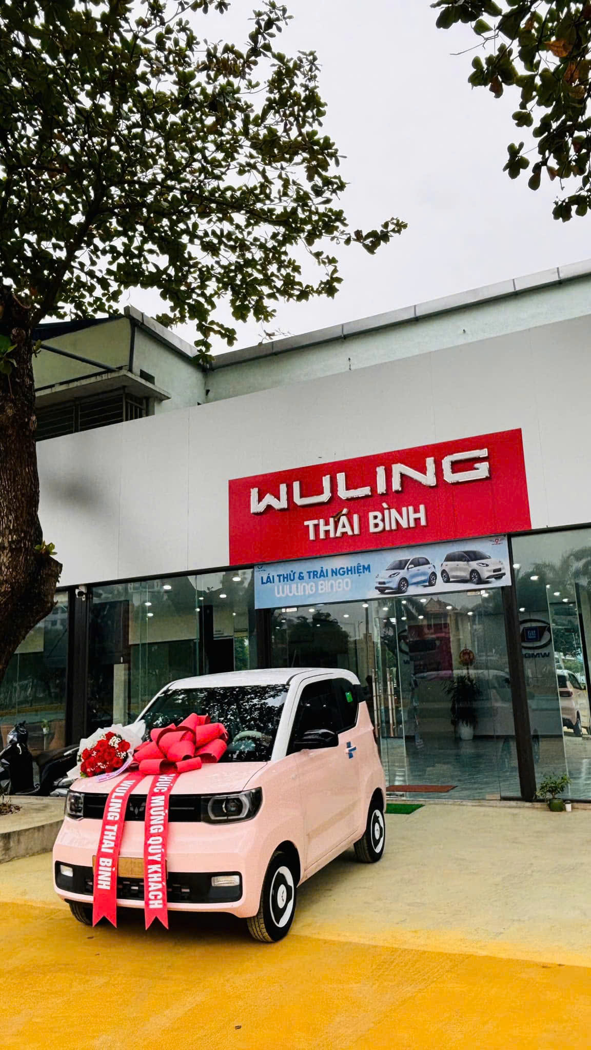 Xe điện Wuling Mini EV – LV2 ( màu Hồng đào)