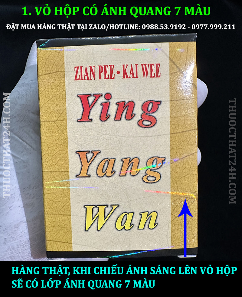 ying yang wan, dinh dưỡng hoàn, thuốc tăng cân ying yang wan
