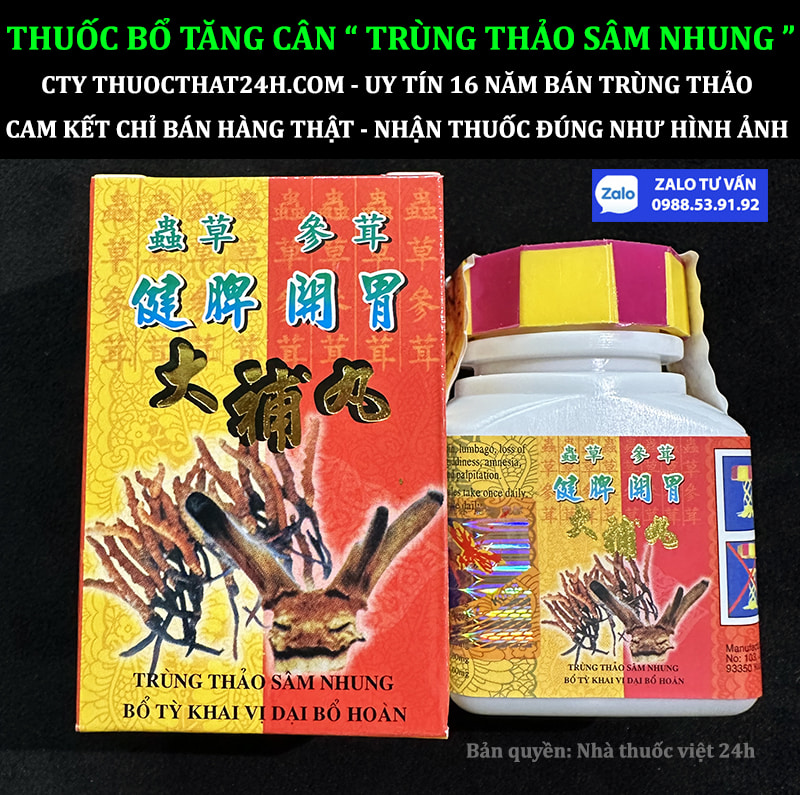 NƠI MUA THUỐC BỔ TĂNG CÂN TRÙNG THẢO SÂM NHUNG CHÍNH HÃNG TẠI VIỆT NAM