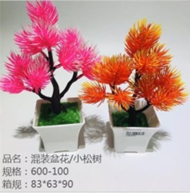 Chậu hoa hỗn hợp/cây thông nhỏ.