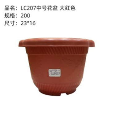 chậu cây sz trung