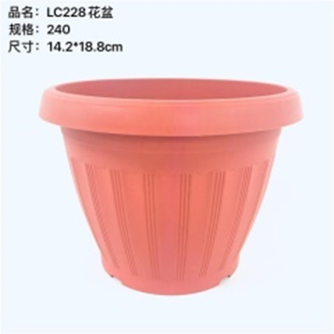 chậu hoa sz nhỏ