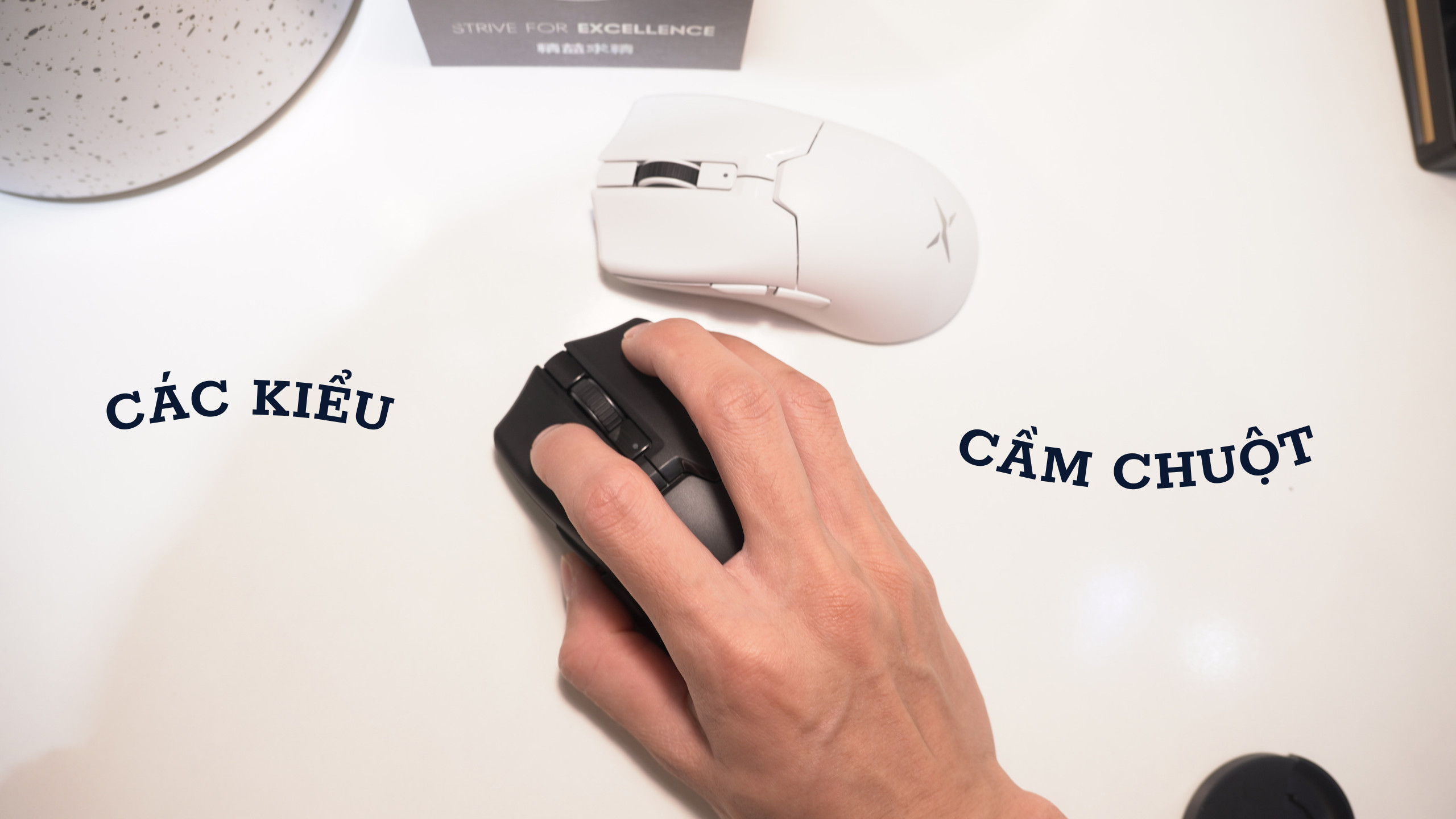 Chọn Kiểu Cầm Chuột Phù Hợp: Claw Grip, Palm Grip, và Fingertip Grip