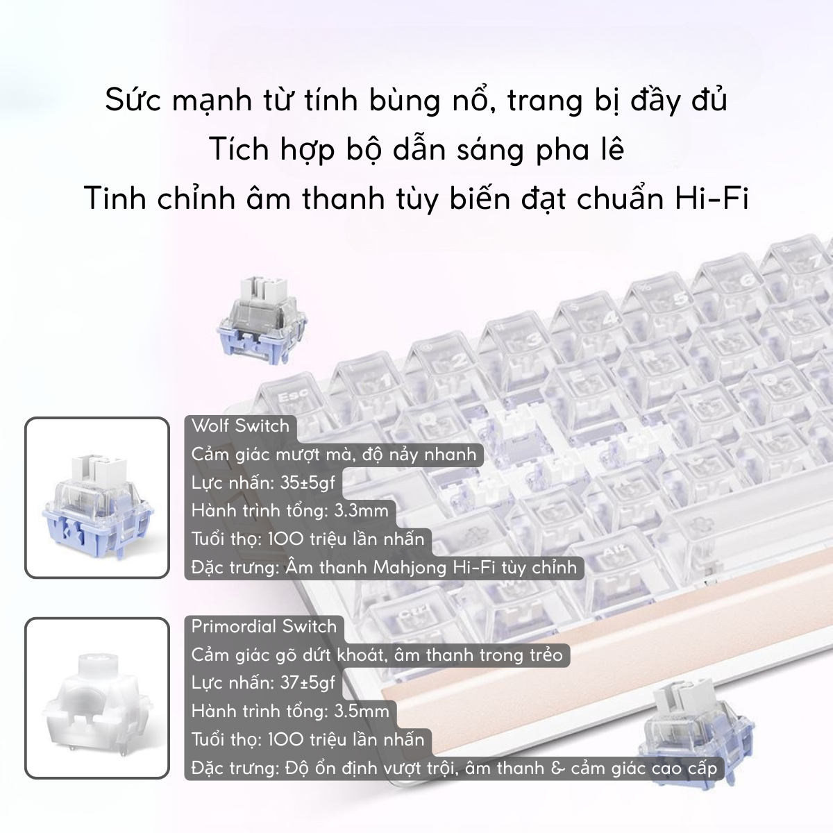 ATK 68 RX ESPORTS| Bàn Phím Phím Từ Tính Chuyên Game 8K Hz, Độ Trễ 0.08ms, Scan Rate 256K, Accuracy 0.001mm, RGB 16.8 Triệu Màu