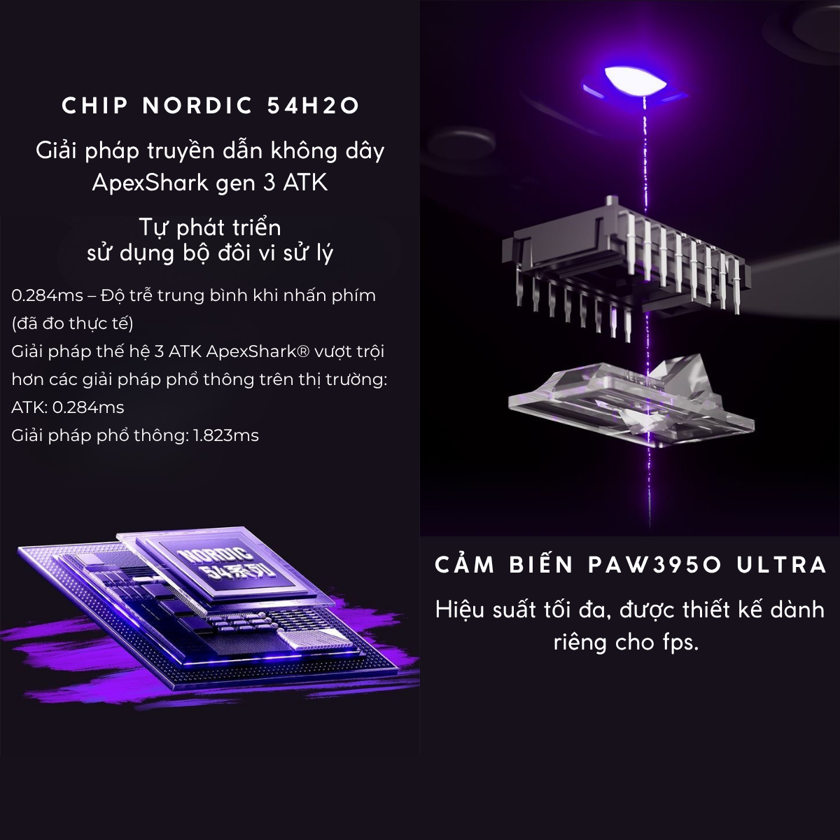 Chuột Gaming Không Dây ATK Duckbill Ultra PAW3950 Ultra, Nordic 54H20, 8000Hz