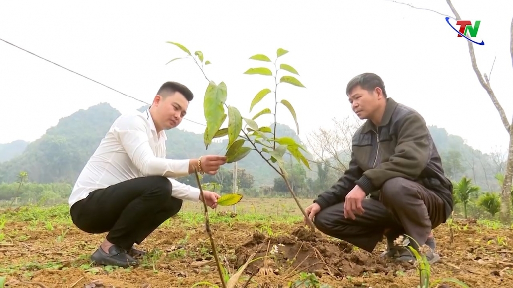 Gương thanh niên khởi nghiệp từ măng lục trúc