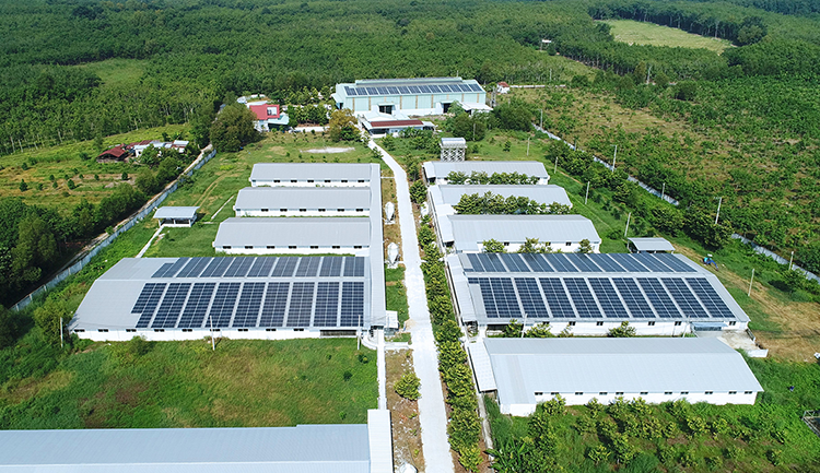 Giải pháp điện mặt trời cho doanh nghiệp