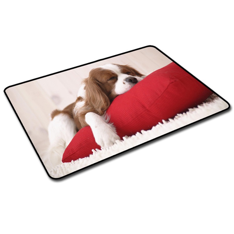 Lót Chuột, Bàn Di Chuột Nhỏ 21 x 26cm Dễ Thương Có Bo Viền - Mã 04