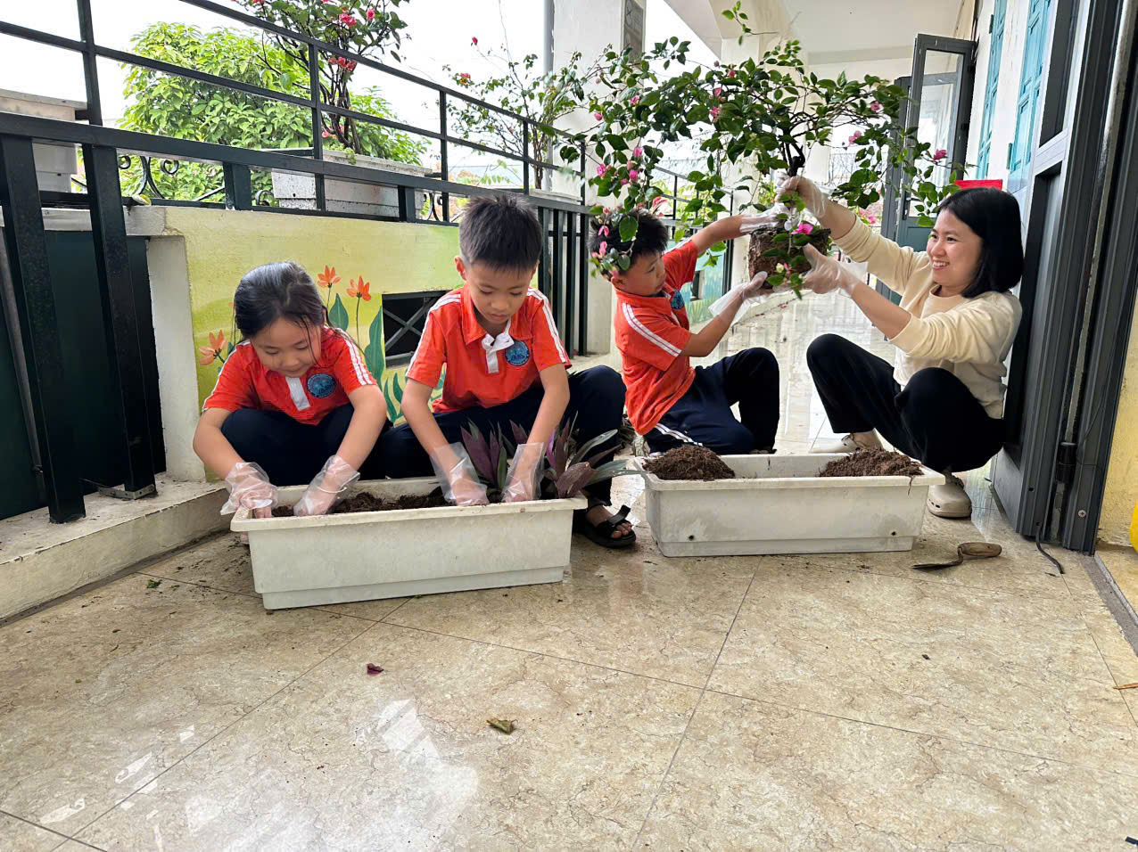 Tết trồng cây Xuân 2026 - Lan tỏa màu xanh