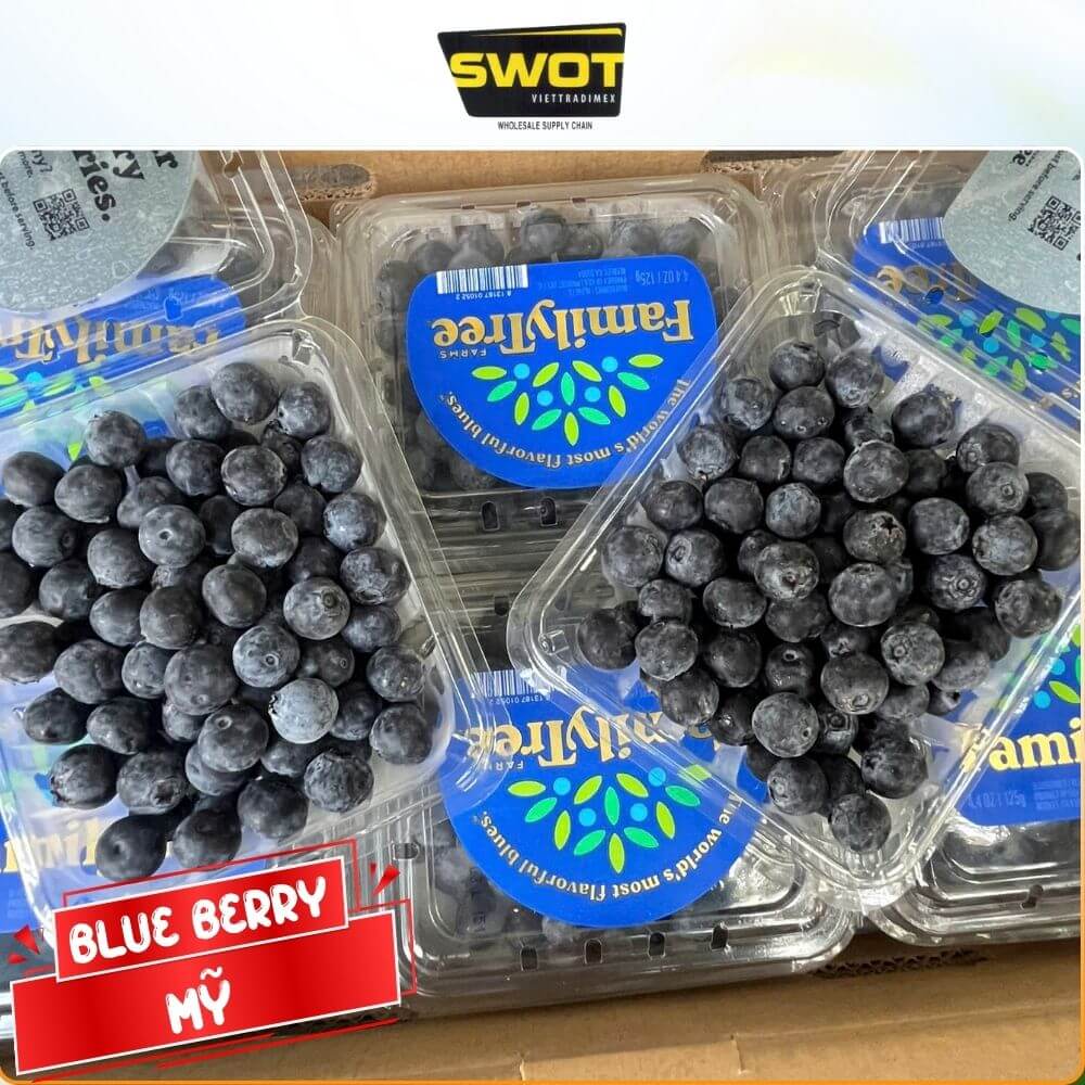VIỆT QUẤT MỸ