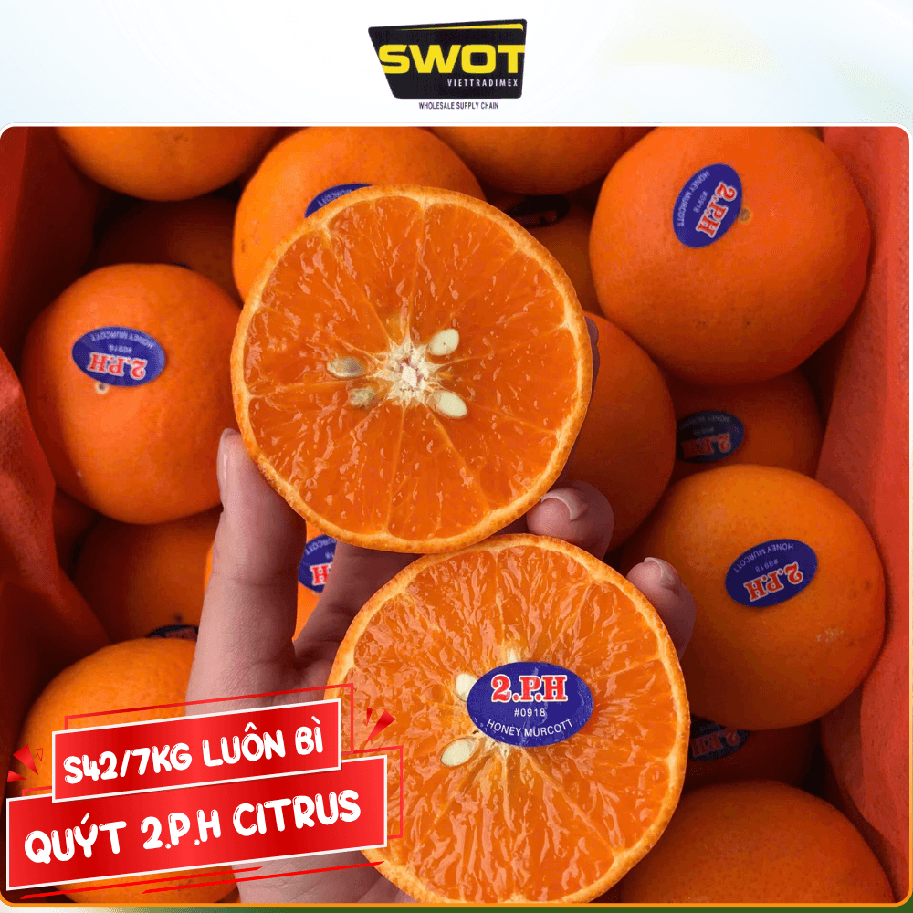 QUÝT 2.P.H CITRUS