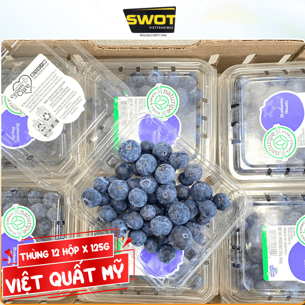 VIỆT QUẤT - MỸ