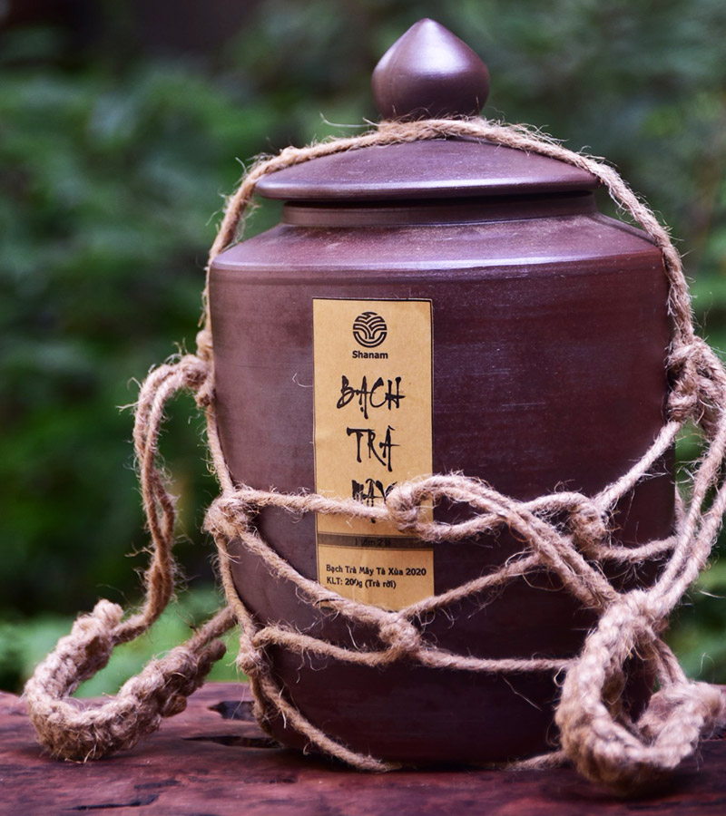 CHUM BẠCH TRÀ MÂY TÀ XÙA 1T-2L 200G