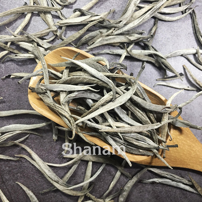 CHUM BẠCH TRÀ THIÊN TÀ XÙA 1T 100G