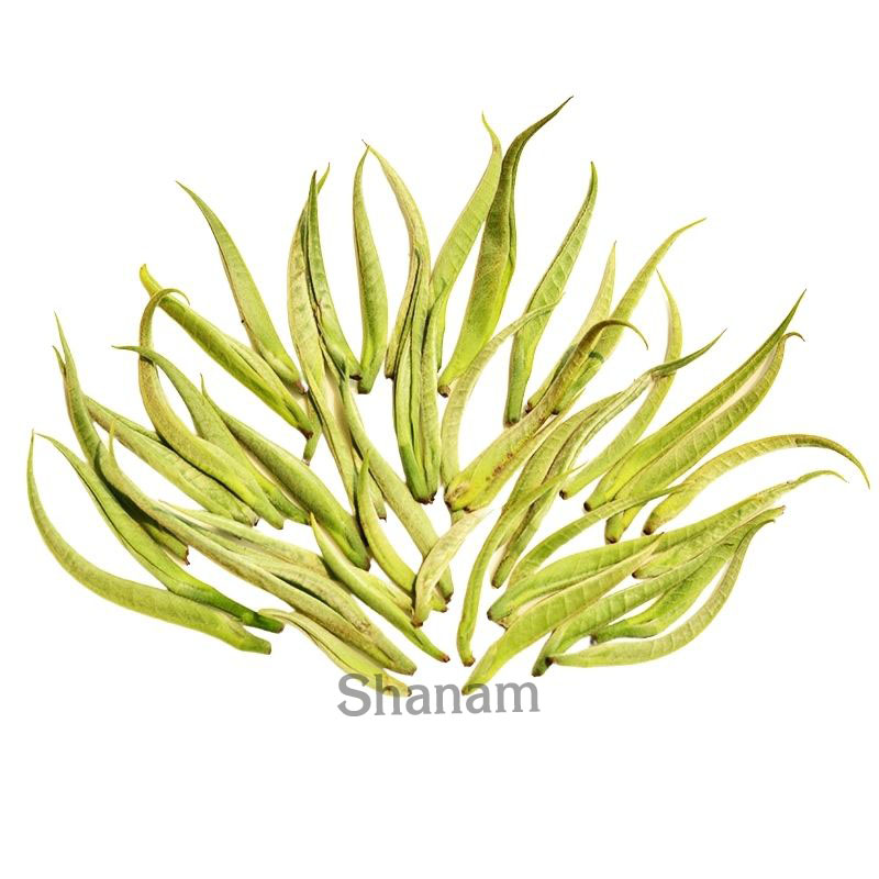 CHUM BẠCH TRÀ THIÊN TÀ XÙA 1T 100G