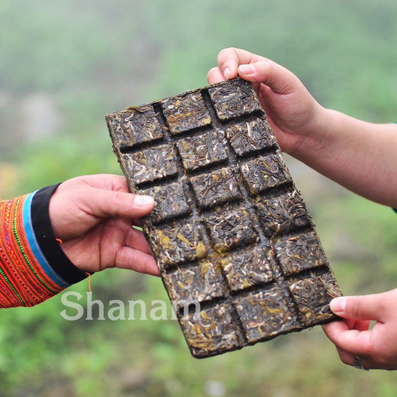 TRÀ VÀNG - BÁNH TRÀ SỐNG 2022 YÊN BÁI 1T-2L 300G BTR