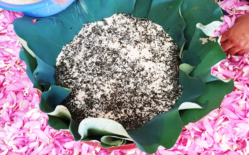 TRÀ XANH THIỆN ƯỚP SEN THƯỢNG HẠNG HỘP 80G