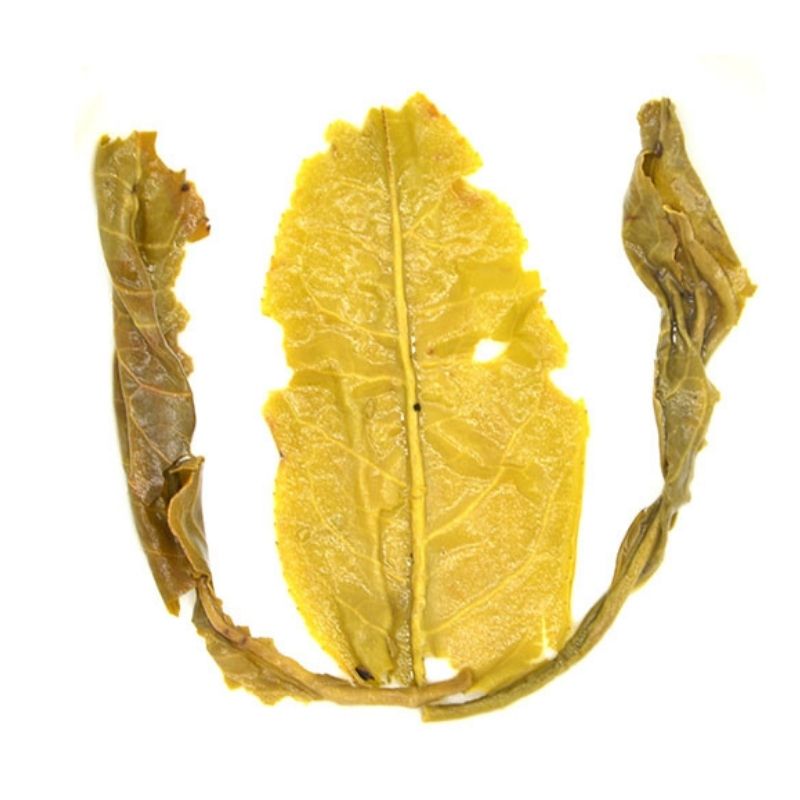 TRÀ XANH VIÊN HỘP 100G