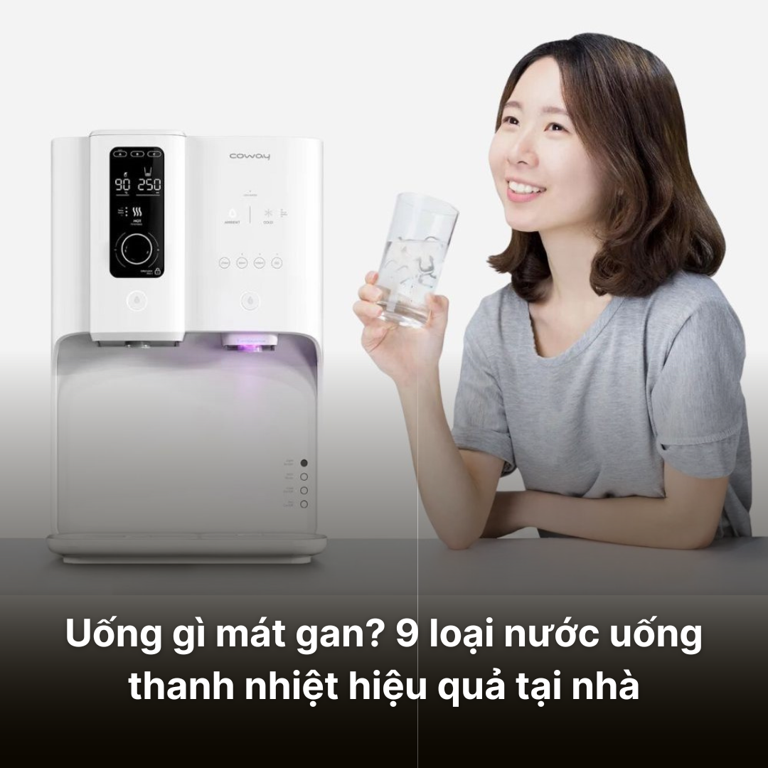 Uống gì mát gan? 9 loại nước thanh nhiệt hiệu quả tại nhà