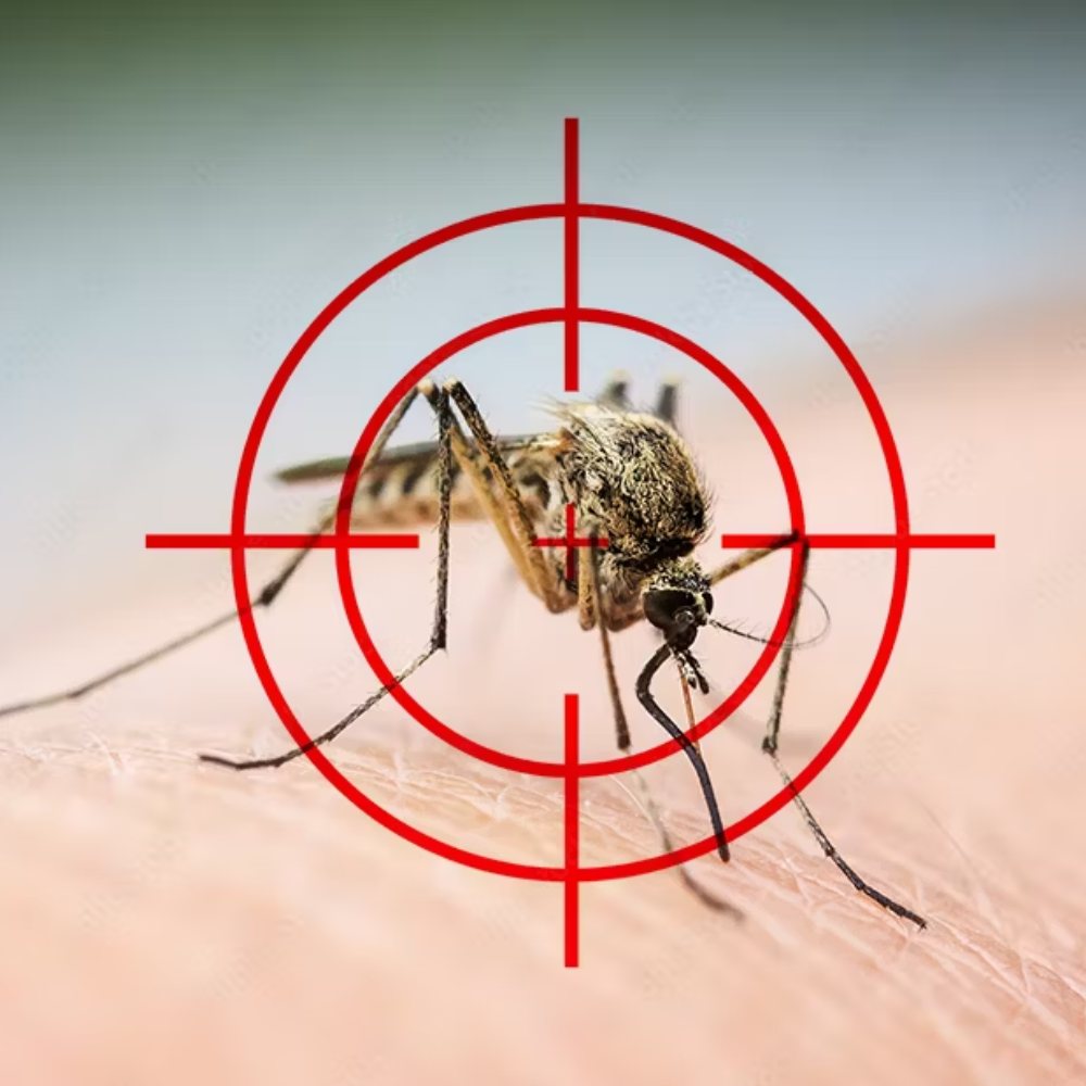 10 Cách đuổi muỗi đơn giản mà hiệu quả nhất