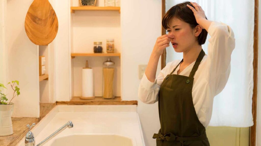 13 cách khử mùi nhà vệ sinh toilet nhanh chóng và hiệu quả vượt trội