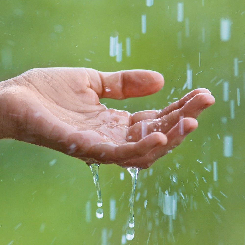 Nước mưa có sạch không? Cách xử lý và sử dụng nước mưa