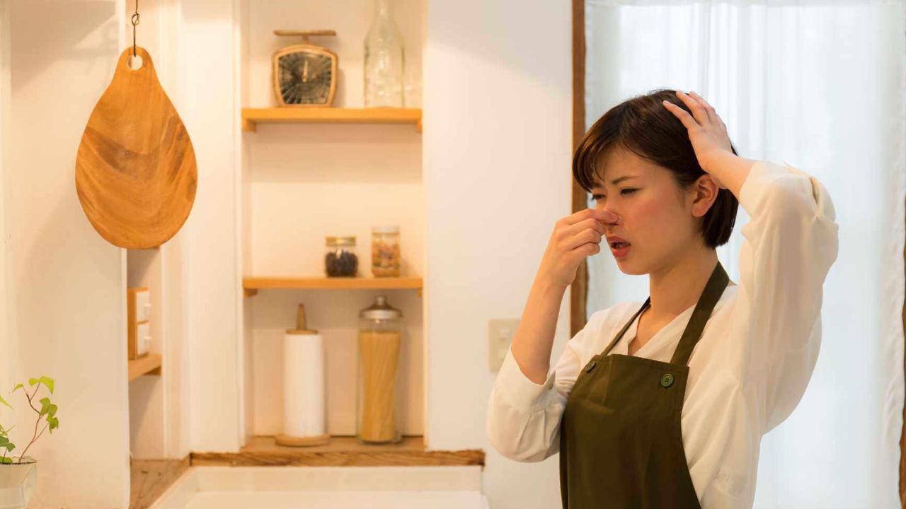 mang-loc-than-hoat-tinh-5