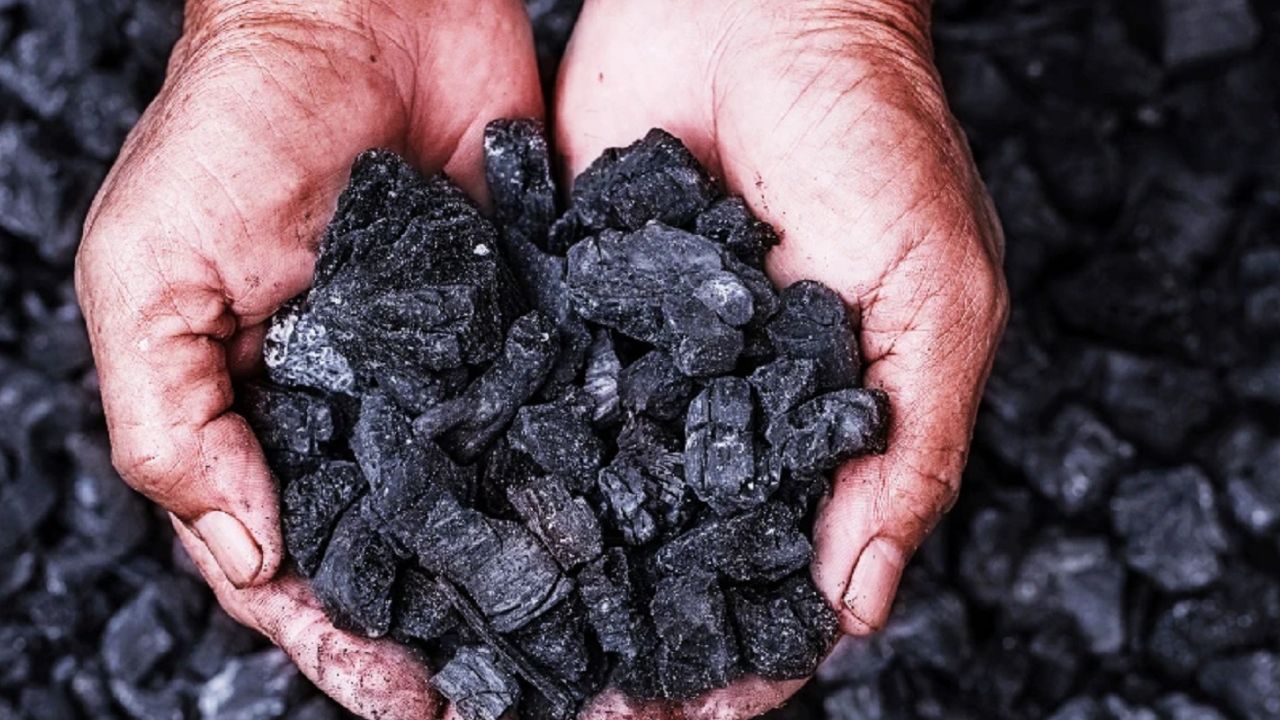 mang-loc-than-hoat-tinh-2