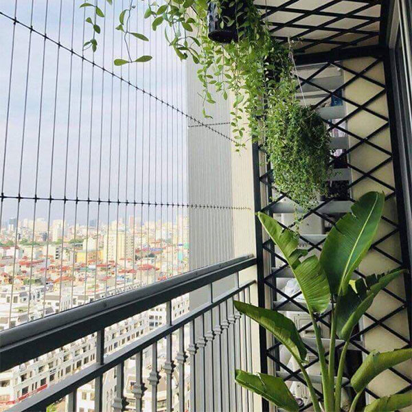 Lưới an toàn
