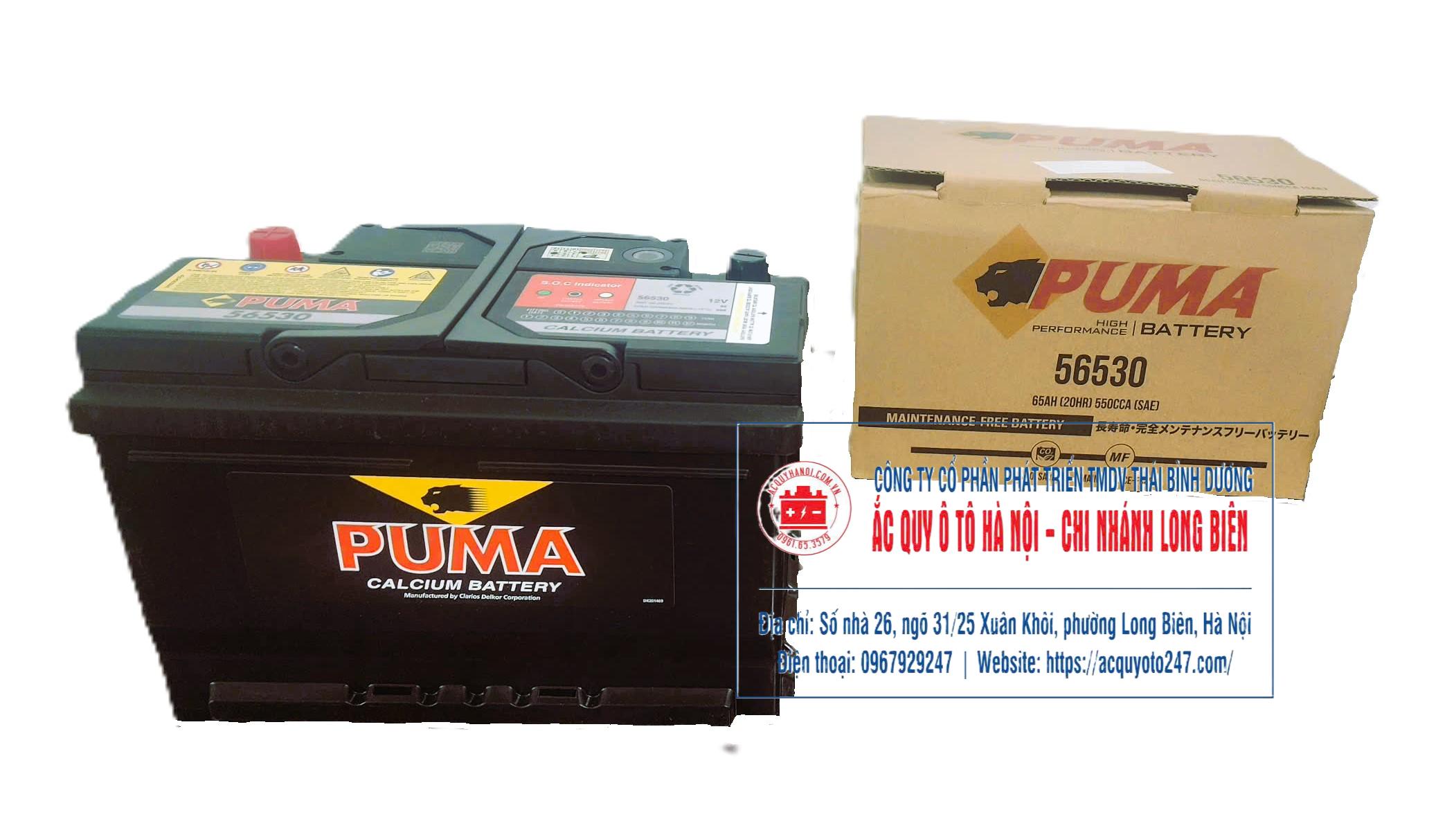 Ắc quy Puma DIN56530(65AH;550CCA)
