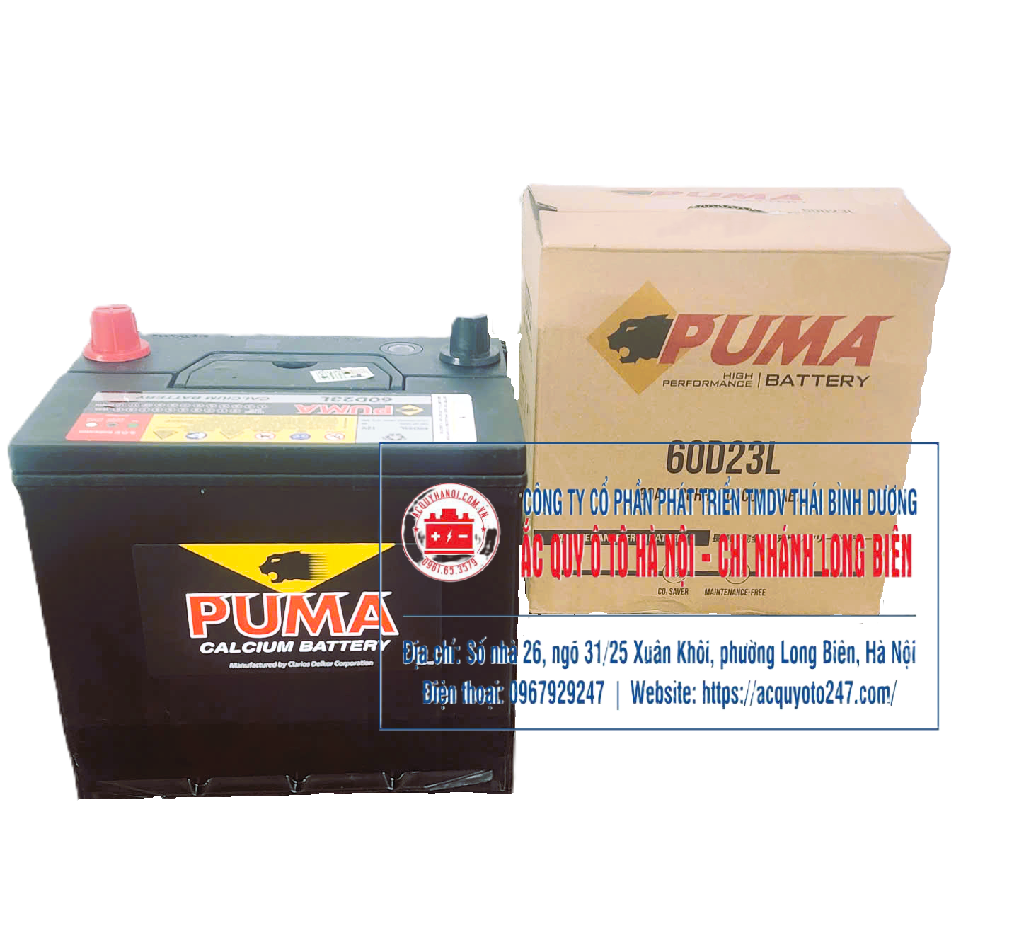 Ắc quy Puma 60D23L(60AH;500CCA)
