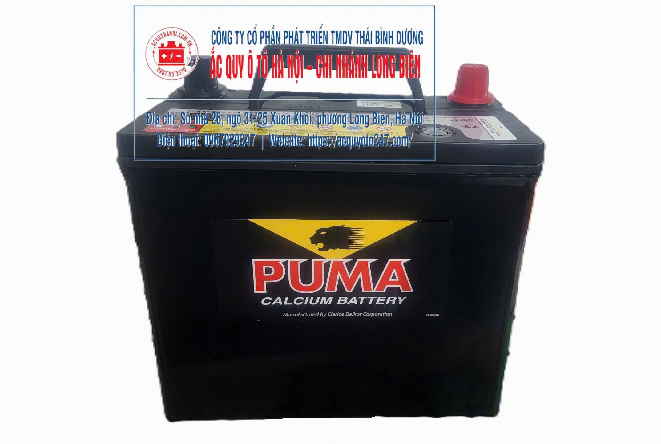 Ắc quy Puma 55B24RS (46AH; 420 CCA)