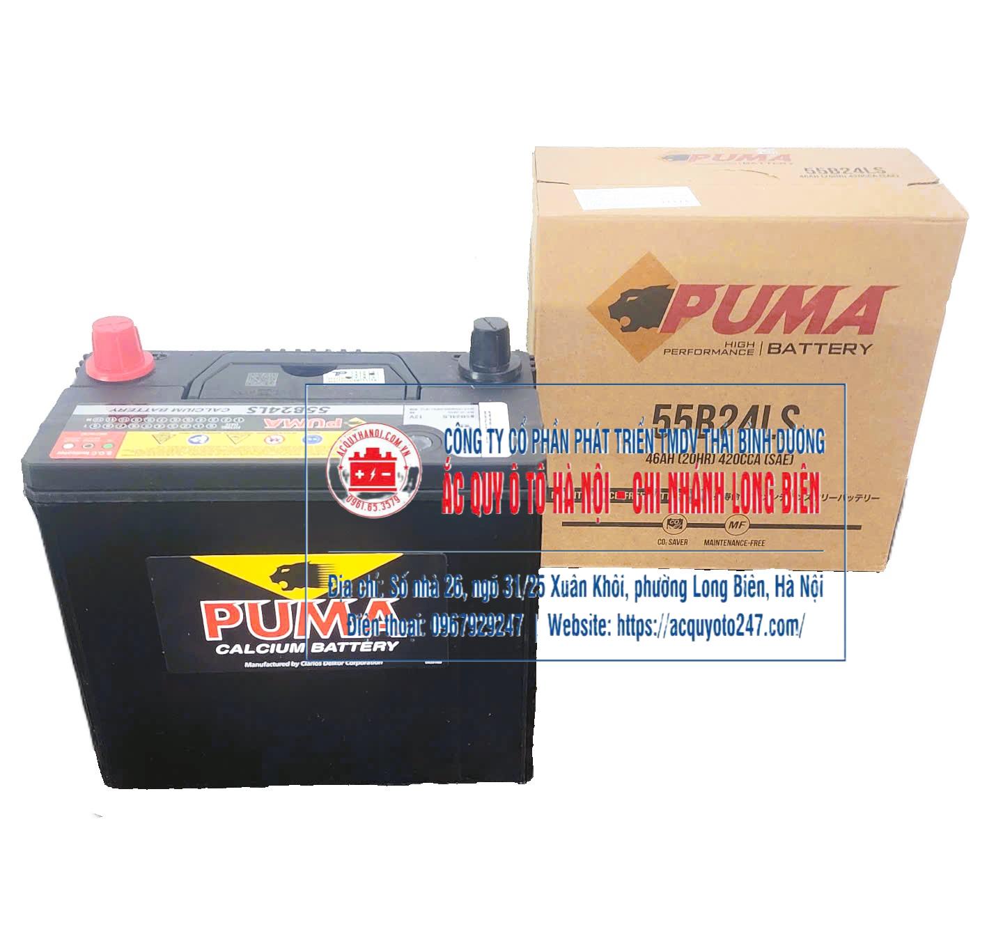 Ắc quy Puma 55B24LS (46AH;420CCA)