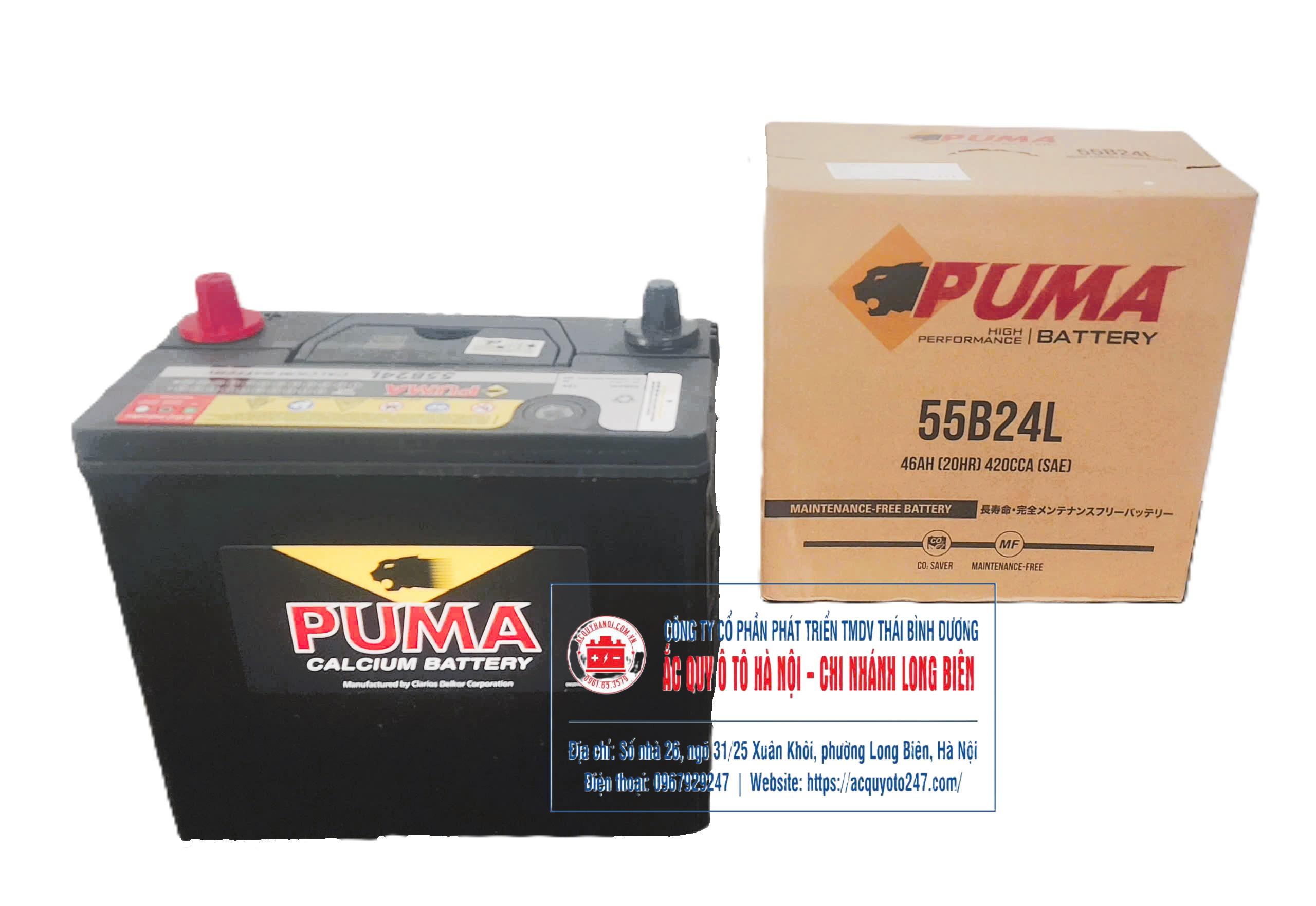 Ắc quy Puma 55B24L(46AH;420CCA)