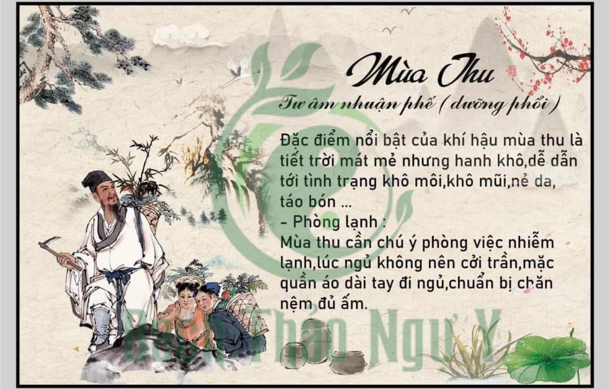 Dưỡng sinh Đông y